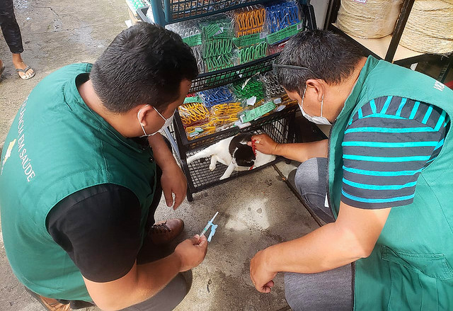 13.05.21 - CCZ realiza vacinação antirrábica em cães e gatos nas áreas de risco de enchente
