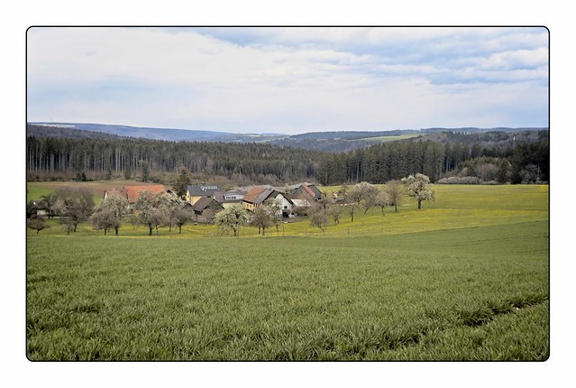 Black Forest open spaces 3