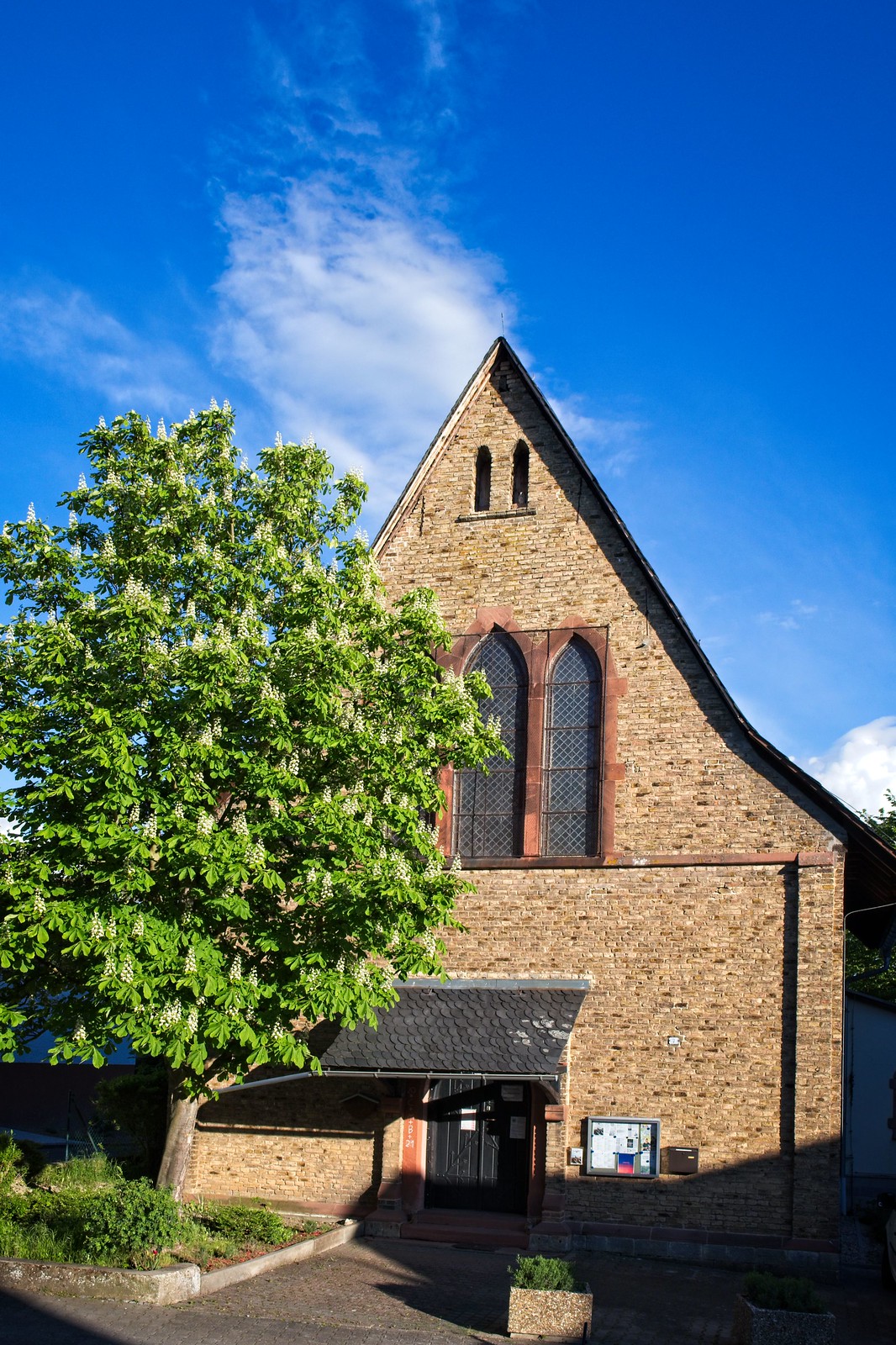 Katholische Kirche Selzen mit Kastanienbaum und Turmfalke