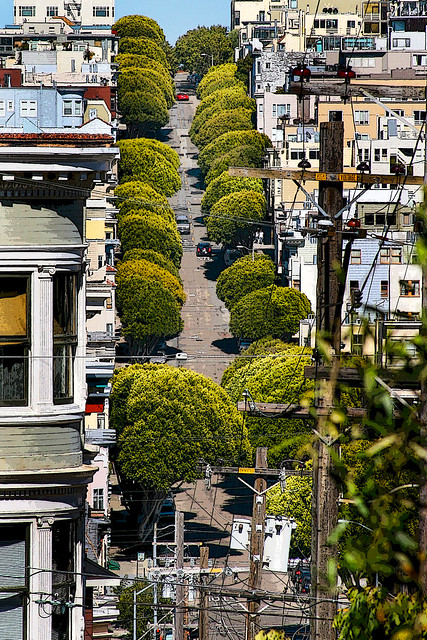 Steep San Francisco tree-lined Street