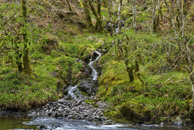 Confluence, Water of Ae