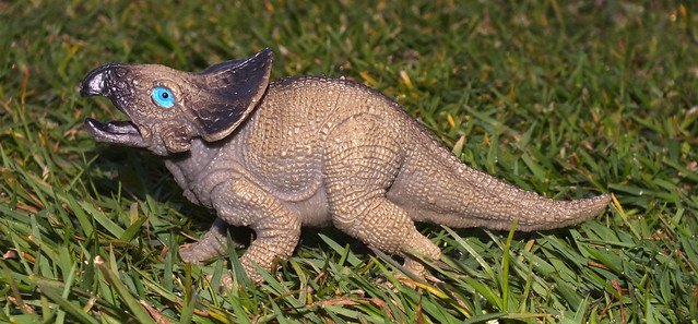 Protoceratops (†Protoceratops andrewsi) female