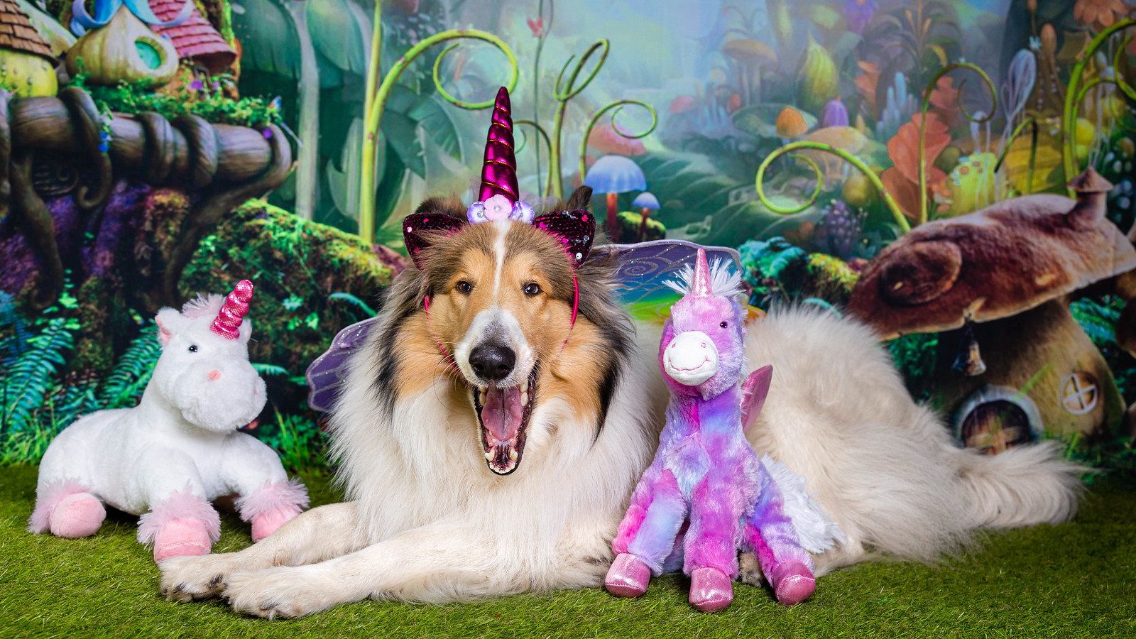 Miss Morgan has found the perfect disguise, no-one will find her among these unicorns.
