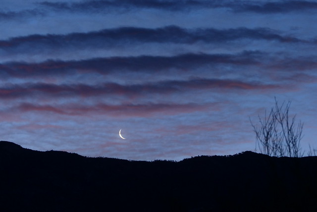 Sliver of a moon as a new day begins {Explored}