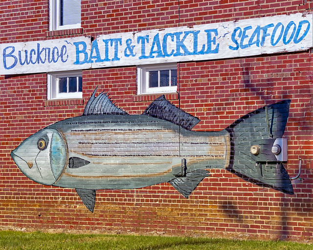 Buckroe Bait, Tackle & Seafood