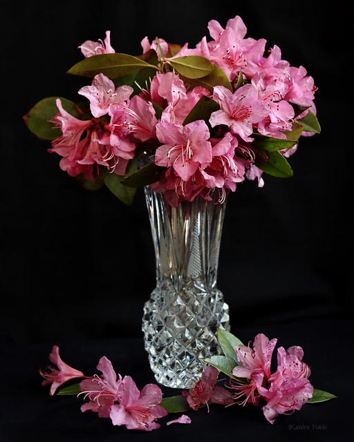 Pink Azalea Bouquet