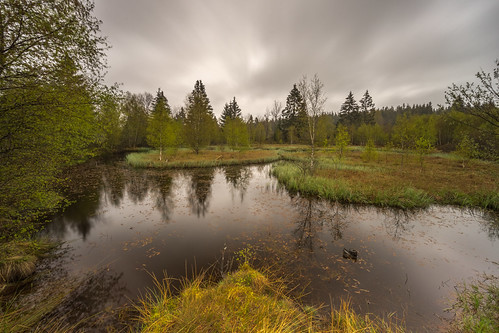 Hohes Venn | by st.schult67
