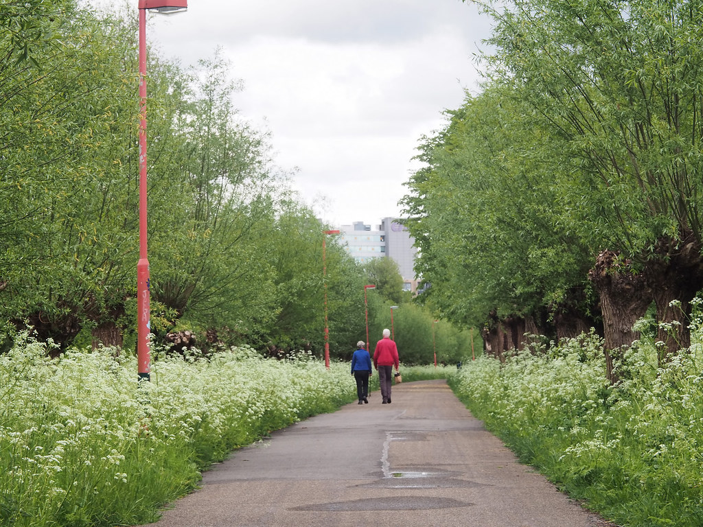 Wandel Gebied In De Buurt
