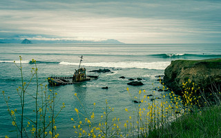 Thumbnail image for album (Surfer with shipwreck, wildflowers, Morro Rock)