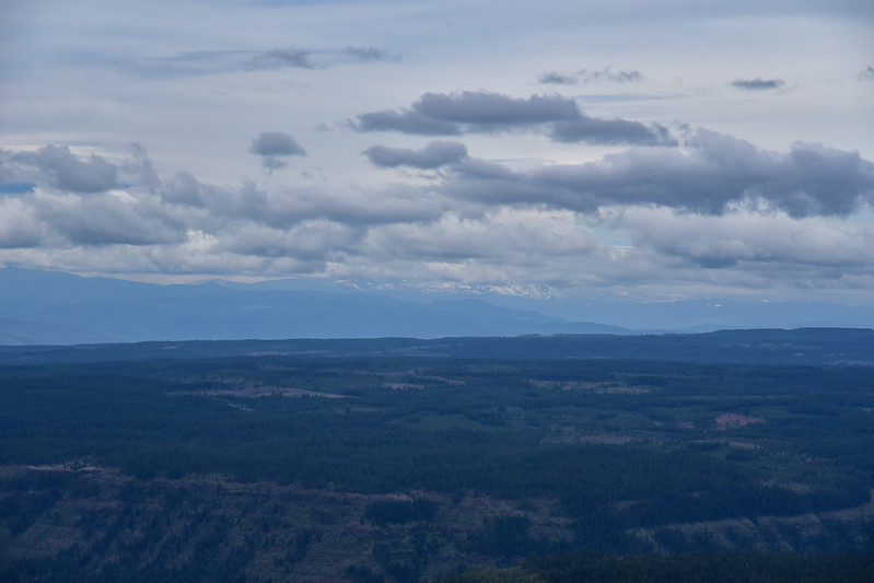 Grayback Mountain Hike