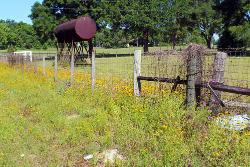 flowers field fence landscape florida wildflowers watertank williston
