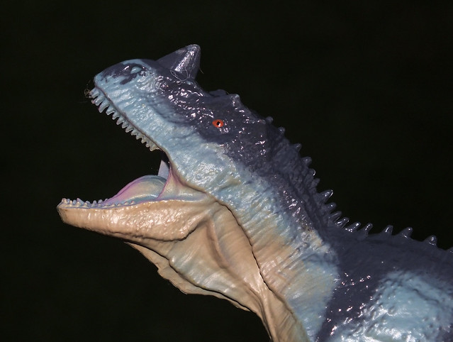 Ceratosaurus (†Ceratosaurus nasicornis) male replica