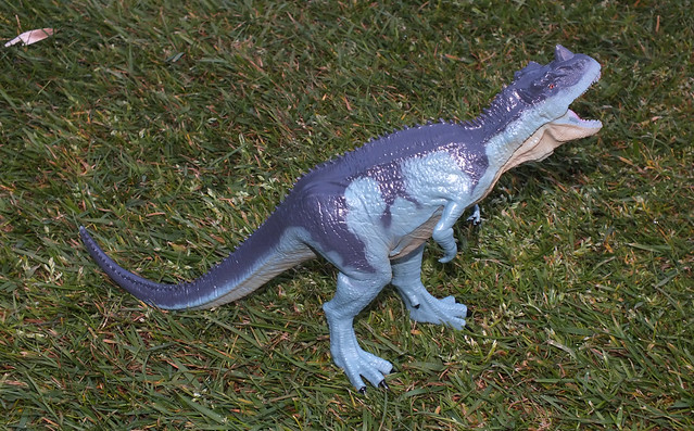 Ceratosaurus (†Ceratosaurus nasicornis) male replica