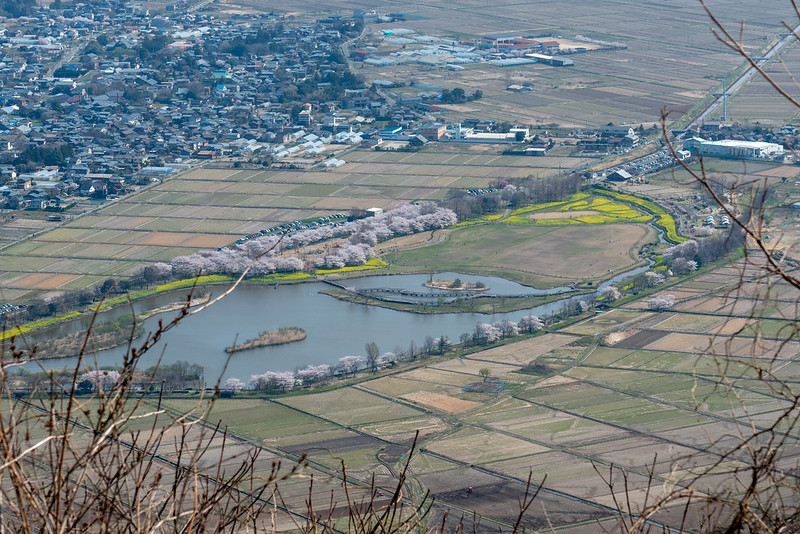 角田山からの展望