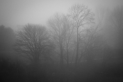 bw blackandwhite fog landscape lakeelkhorn columbia winter