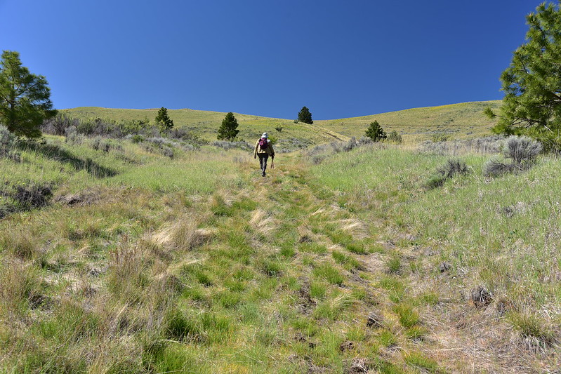 Postage Stamp Butte hike
