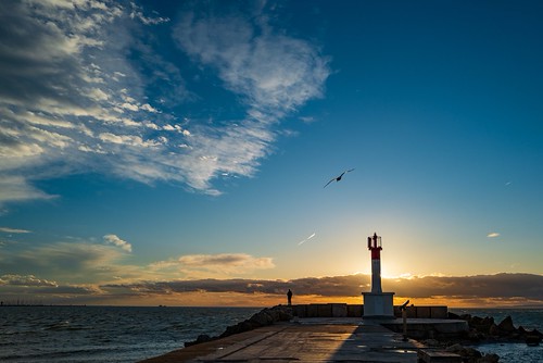 The LightHouse, the Man and the Bird! by NathalieSt, autresmotsclés camargue coucherdesoleil europe france gard languedocroussillon legrauduroi leica lei