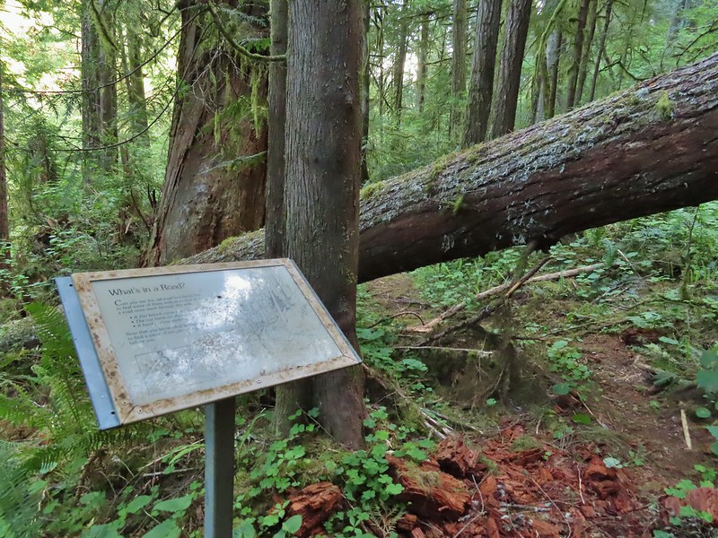 Interpretive sign along the Mapleton Hill Pioneer Trail