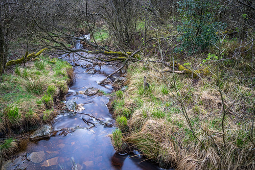 Hohes Venn | by st.schult67