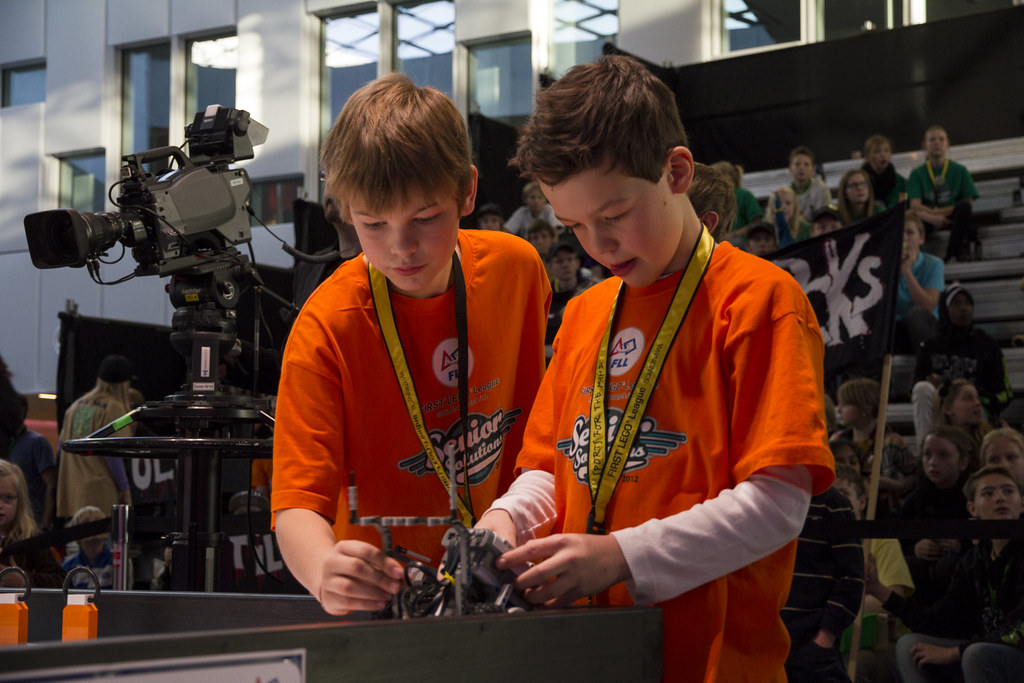 fll 239