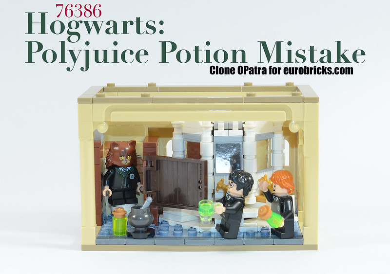 LEGO 76386 Hogwarts Polyjuice Potion Mistake review