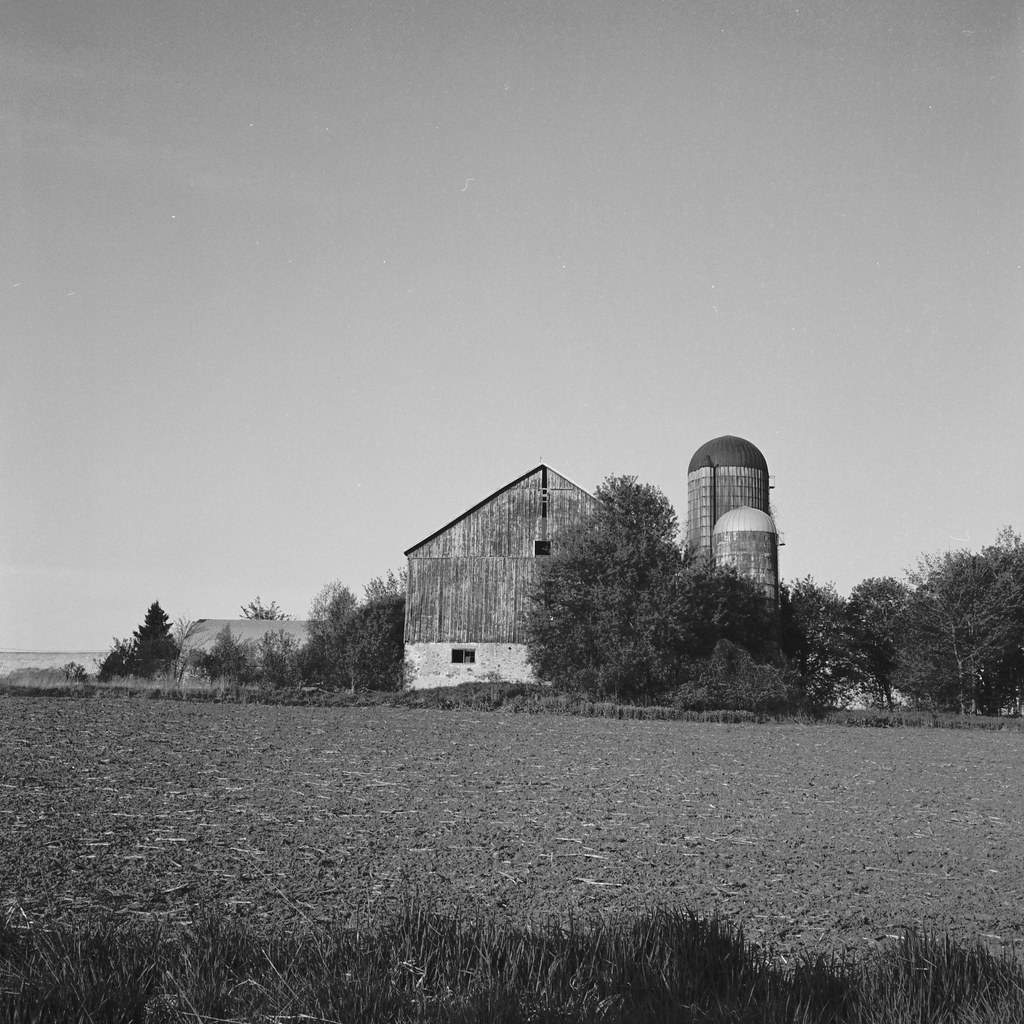 halton Hills Barn_