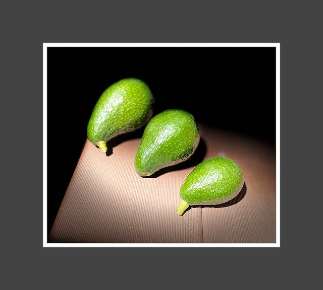My Three Avocados | Portrait Mode | Stage Light