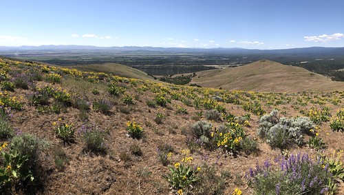 Postage Stamp Butte hike