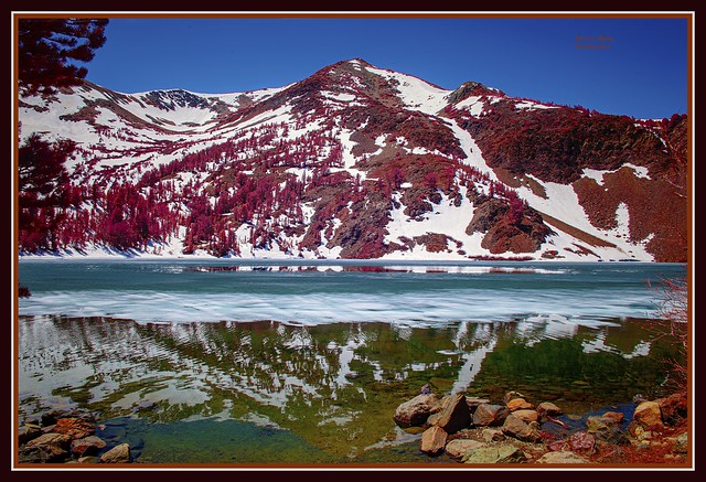 1376. Eastern Sierra 95 - Virginia Lake 3
