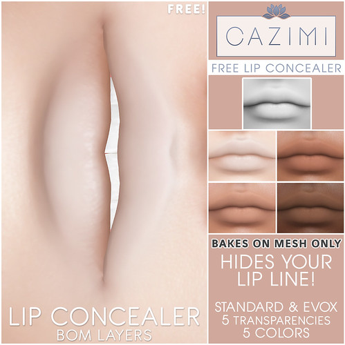 Free BOM Lip Concealer
