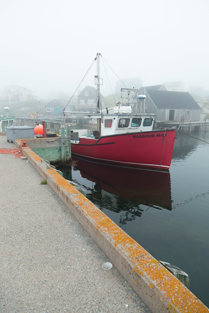 Mist at the Harbor
