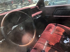 1989 Dodge Dakota Shelby Interior