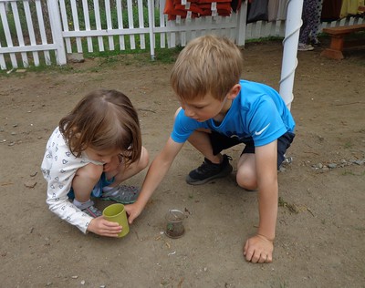observing ants and an inchworm