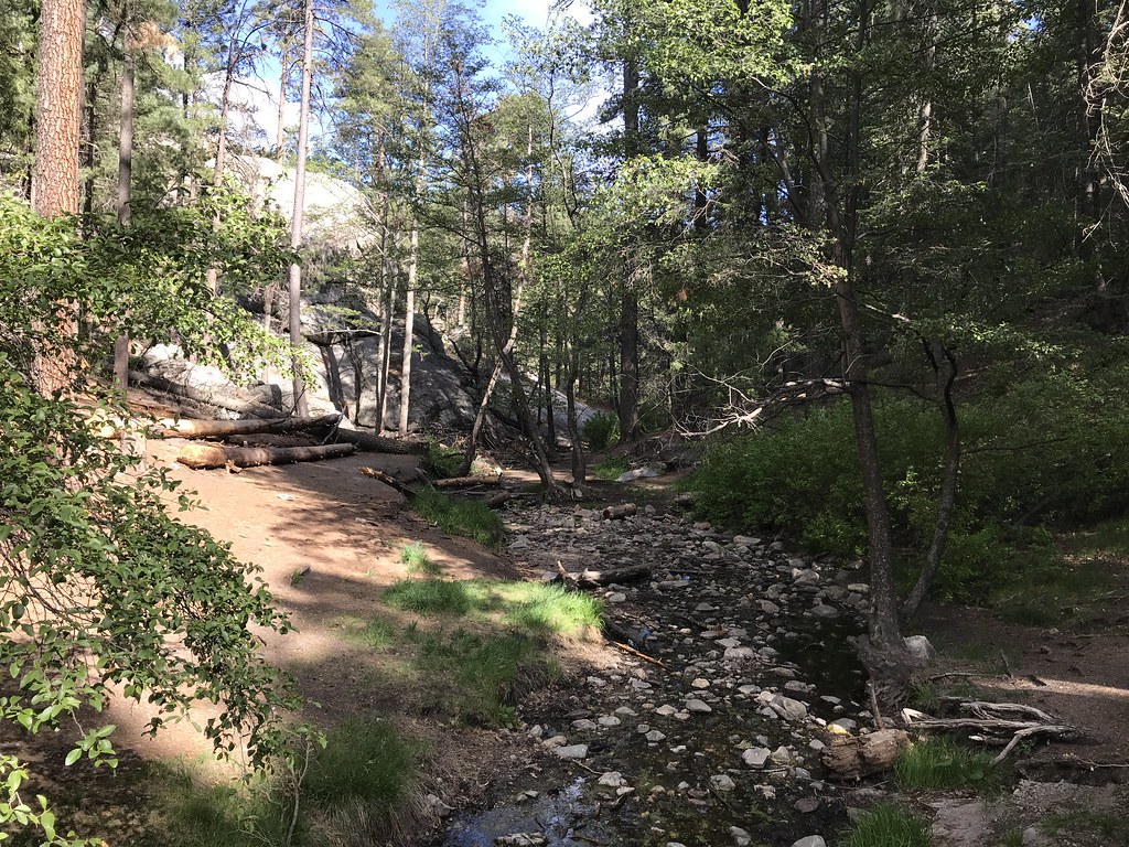 Aspen