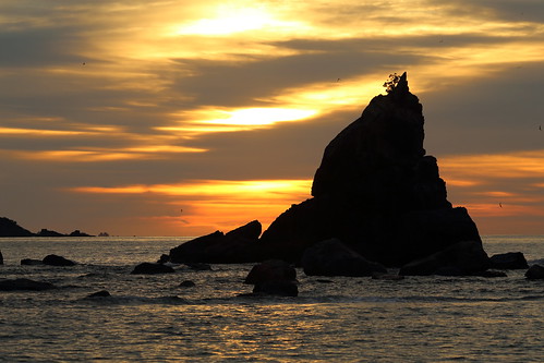 beach coast hashiguiiwa kushimoto wakayama sun sunrise morning cloud landscape japan japon sky 橋杭岩 串本 紀州 和歌山 日本 朝日 日の出 朝 太陽 rock seascape seashore shore