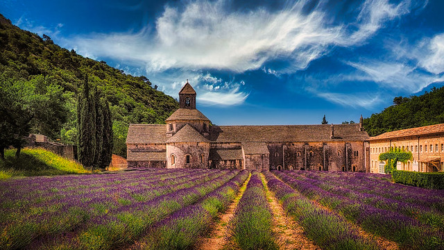 Abbaye de Senanque with Lavender Field, France