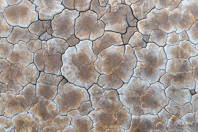 A Tile Floor