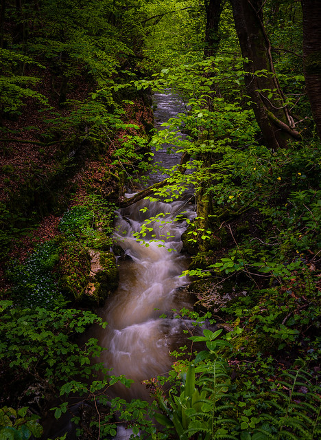 Welsh Woodland stream