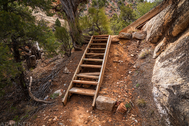 Wooden Stairs