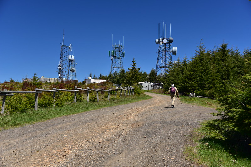 Mt. Hebo Hike