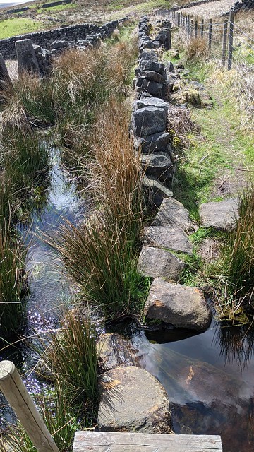 Footpath? Marsh? Wall? All three in fact but which is which?.