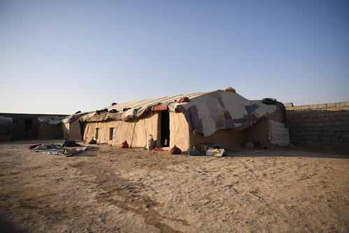 Afghanistan | Humanitarian assistance to Kuchi nomadic pastoralists