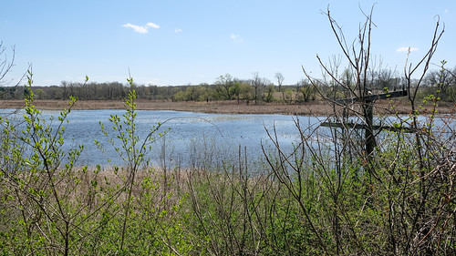 In southern Michigan was a country landscape of manmade flooding with old telegraphy. by Tim Kiser, We get a backup of water caused by construction of a railroad in 1872: Weird! 

And we get a disused