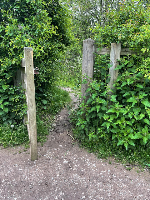 Path through gate