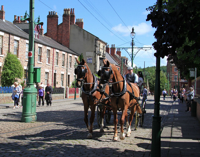 Horses and Carriage  move off -  at Beamish Town. Aug'17
