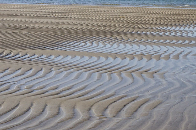 Ripples in Water and Sand