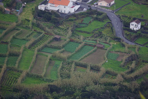 ribeirodascabras fieldsystem landscape faialisland azoresislands portugal april spring agriculture rural