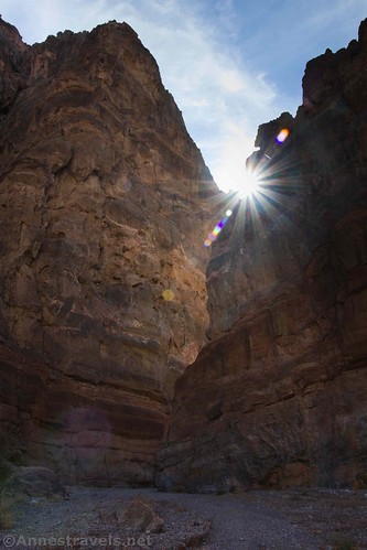 Afternoon sun over the canyon walls, Fall Canyon, Death Valley National Park, California