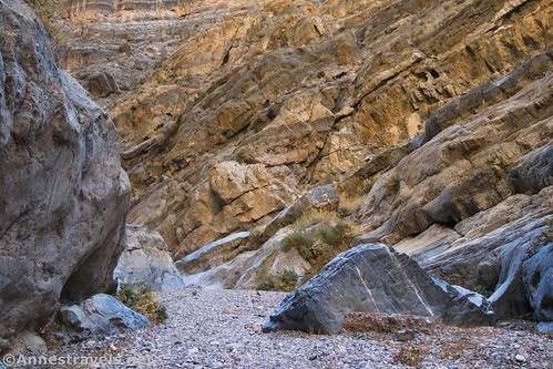 Fall Canyon as it narrows not far from the dryfall, Death Valley National Park, California