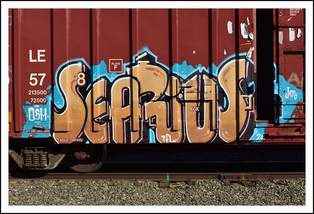 Searius